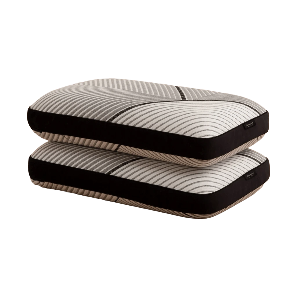 Beautyrest Black Luxury Foam Pillow